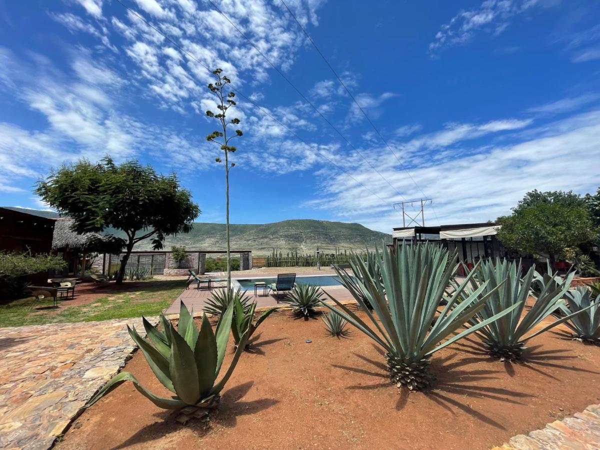 San Pablo Villa de Mitla Casa Regina Oaxaca 빌라 외부 사진
