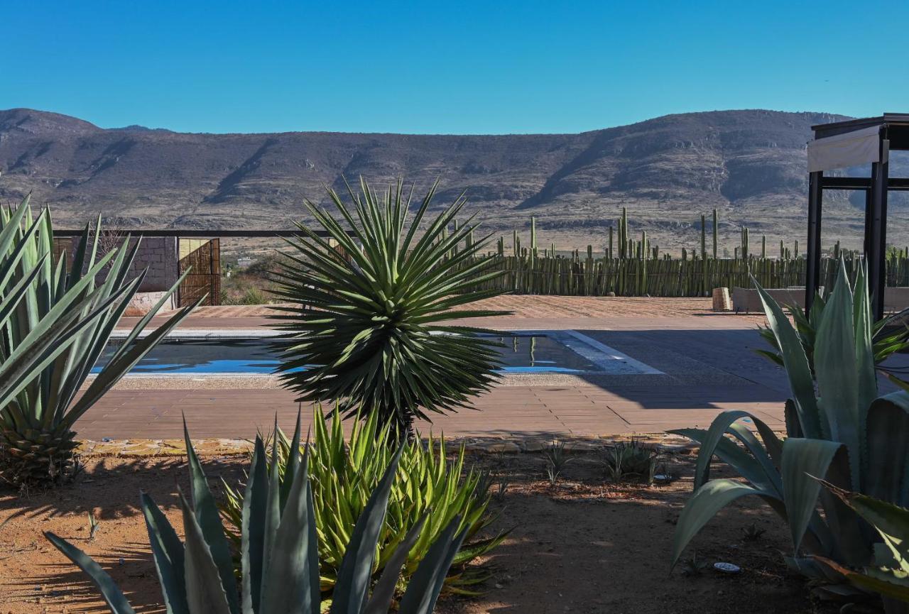 San Pablo Villa de Mitla Casa Regina Oaxaca 빌라 외부 사진