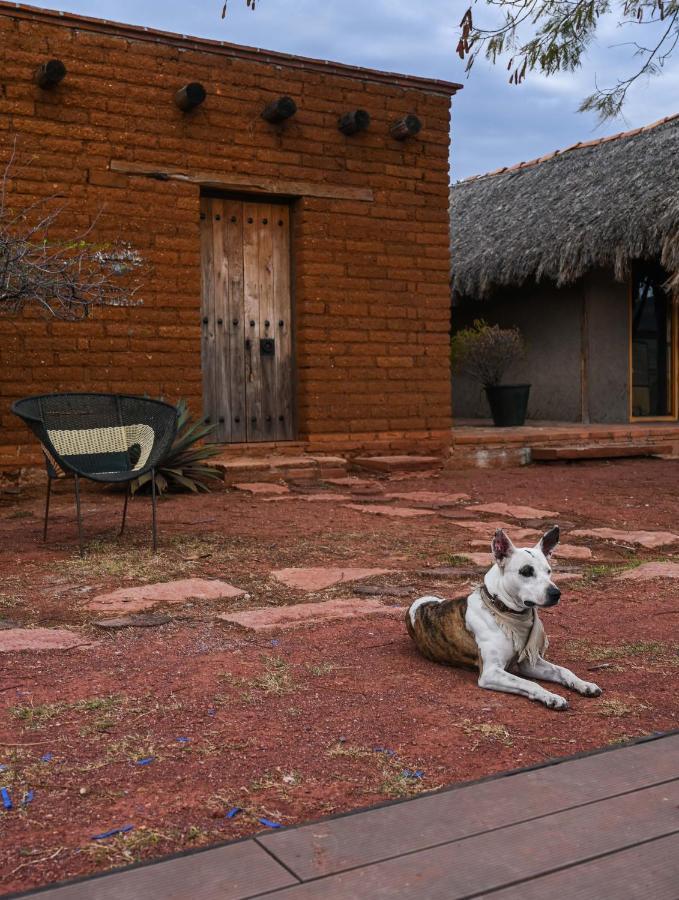 San Pablo Villa de Mitla Casa Regina Oaxaca 빌라 외부 사진
