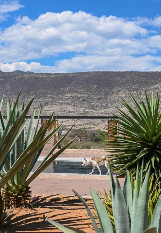 San Pablo Villa de Mitla Casa Regina Oaxaca 빌라 외부 사진